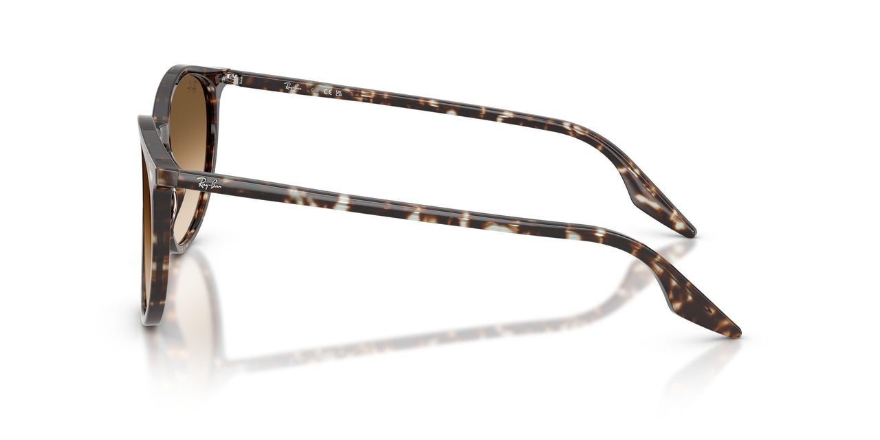 143151 - Yellow - Clear Gradient Brown