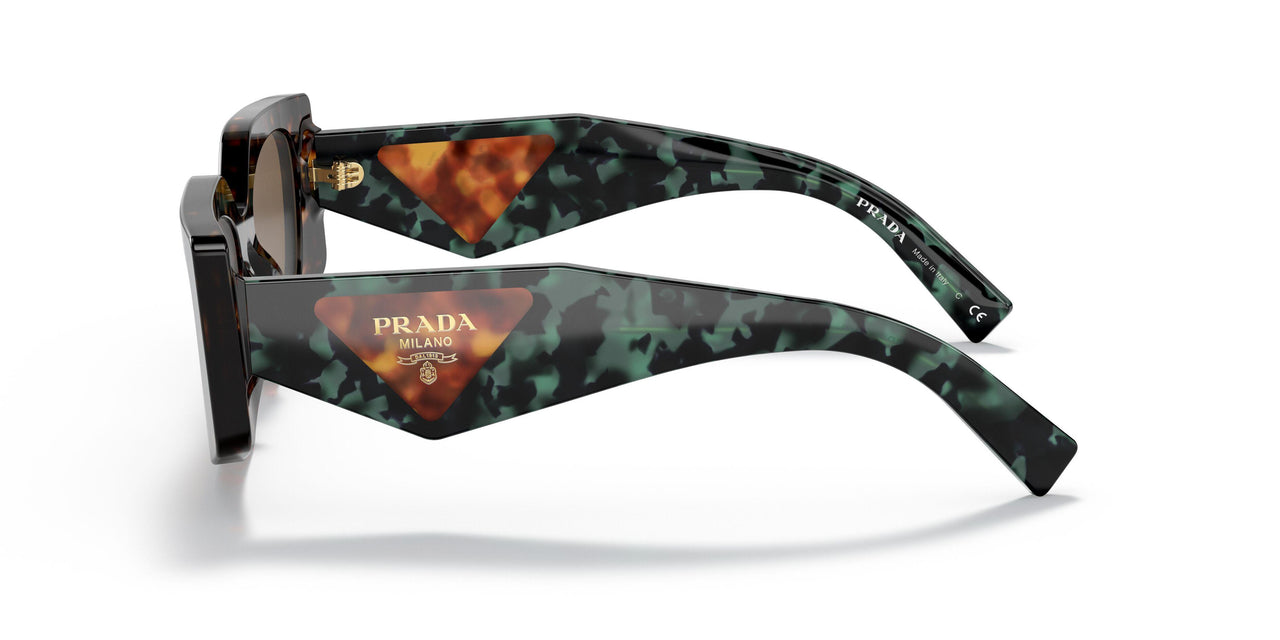 2AU06B - Havana - Dark Brown