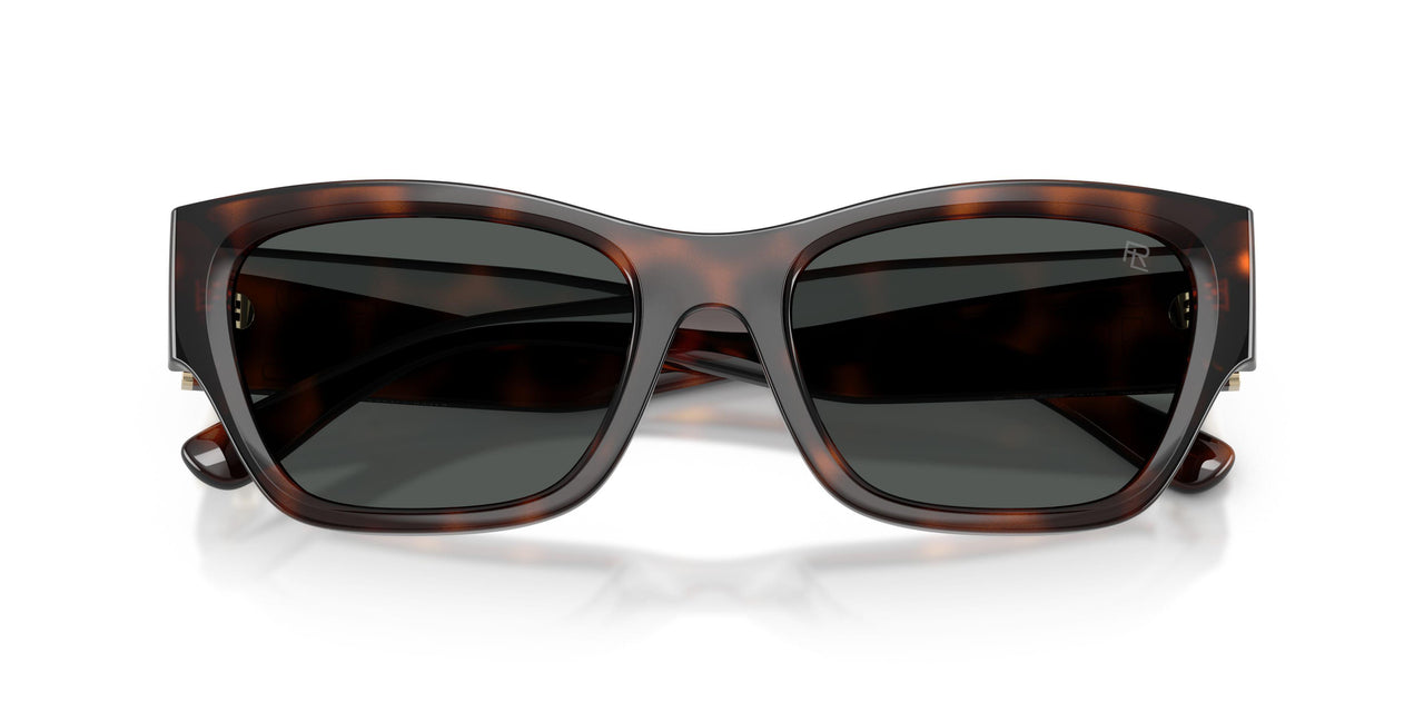 624187 - Tortoise - Grey