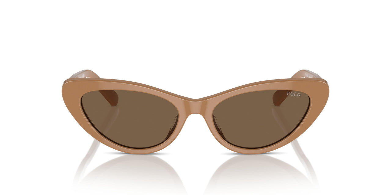 619673 - Brown - Dark Brown