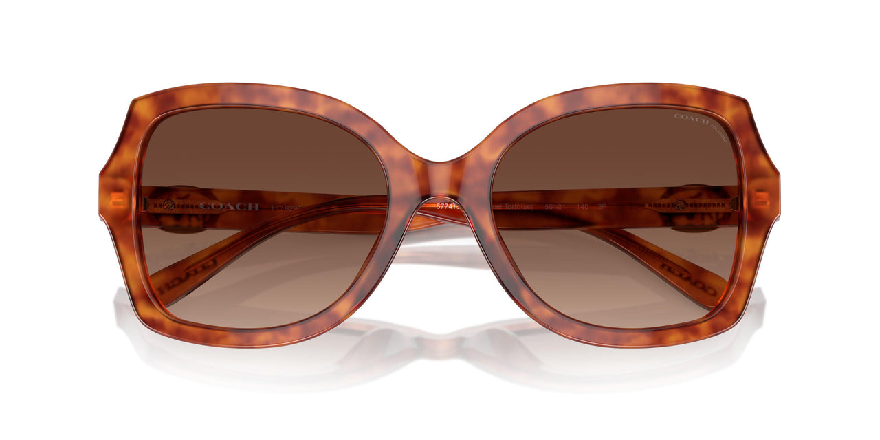 5774T5 - Tortoise - Brown Gradient Polarized