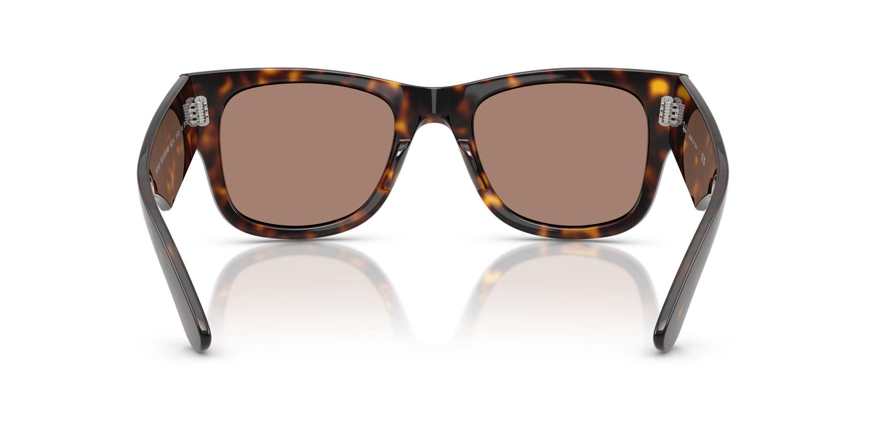 902/1A - Tortoise - Light Violet