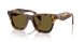 14L09Z - Tortoise - Dark Brown