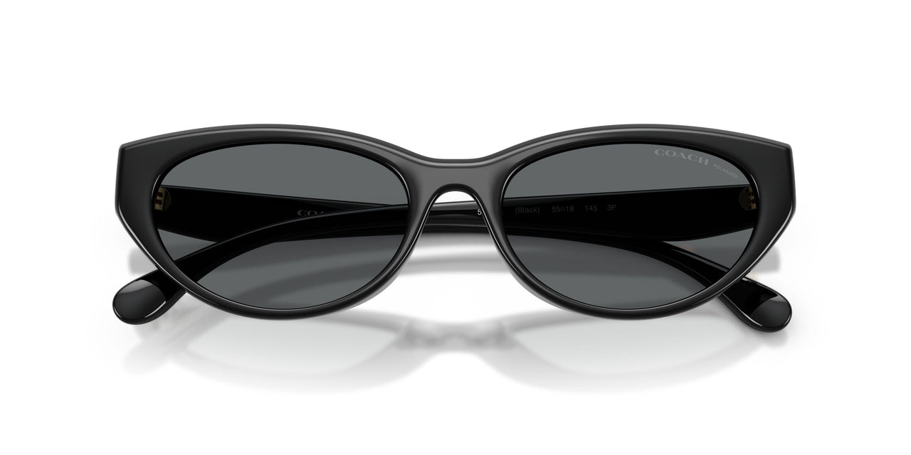 500281 - Black - Grey Solid Polar