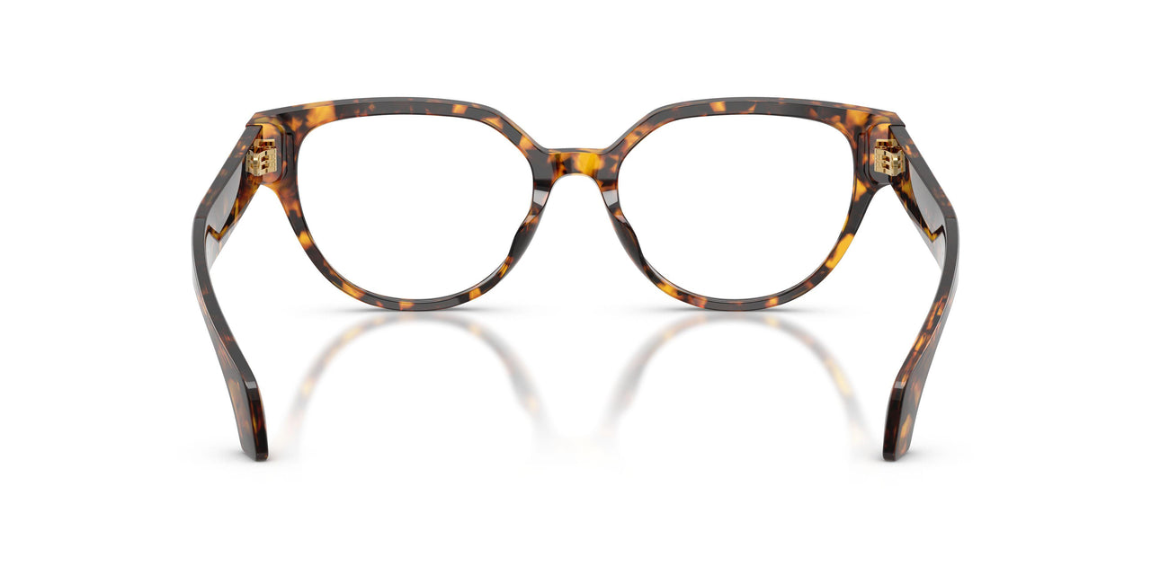 5514 - Tortoise