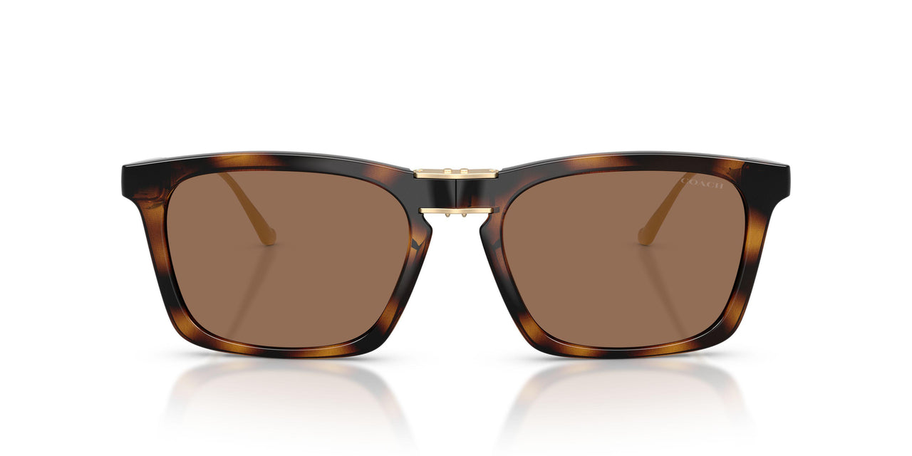 512013 - Tortoise - Brown Solid
