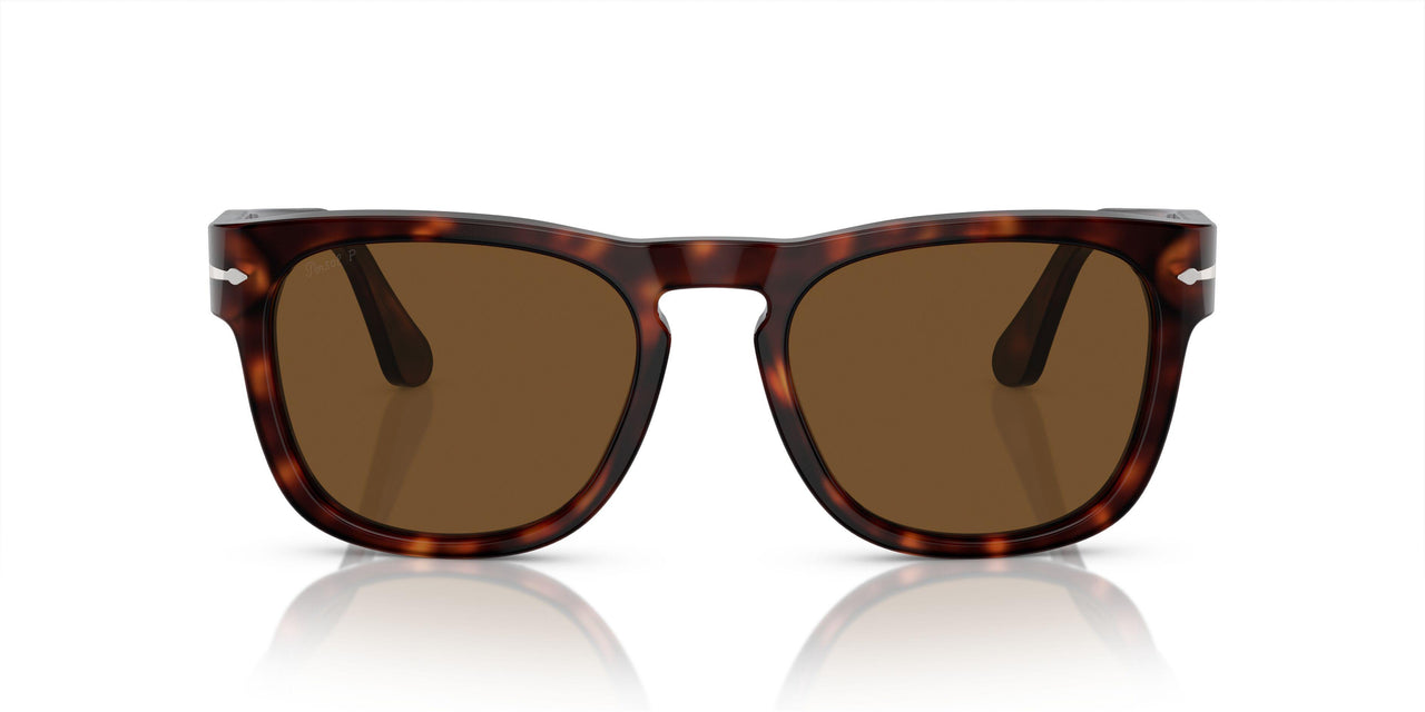 24/57 - Tortoise - Polar Brown