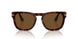 24/57 - Tortoise - Polar Brown