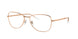Ray-Ban 3733V Eyeglasses