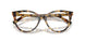 8064 - Tortoise