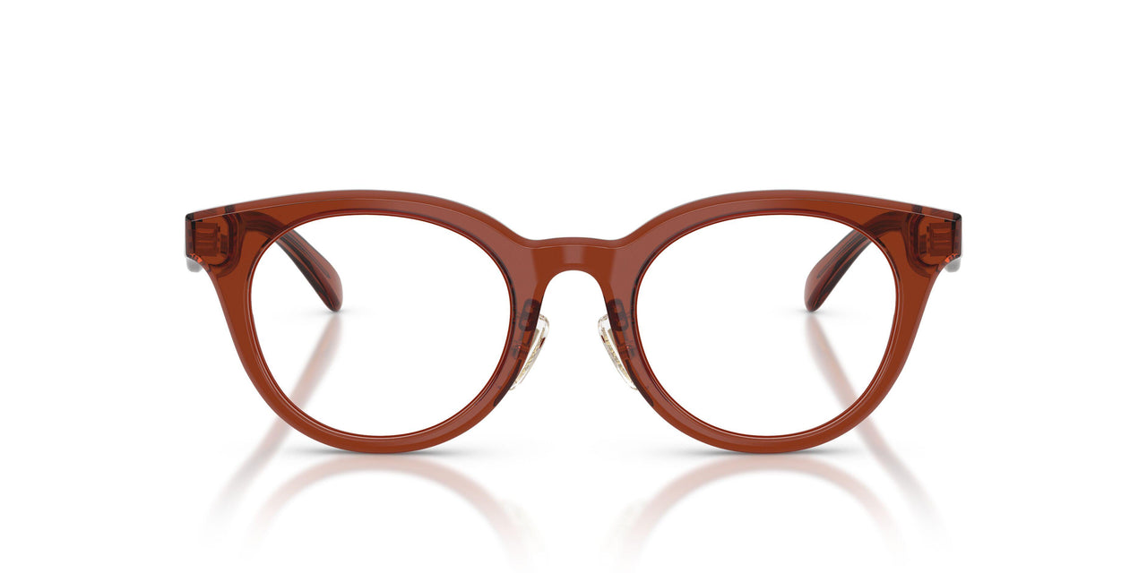 5847 - Brown