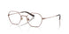 1021 - Brown