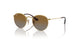 223/T5 - Gold - Brown