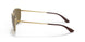 001/73 - Gold - Dark Brown