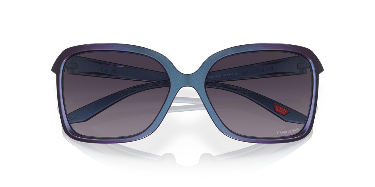 923006 - Purple - Prizm Grey Gradient