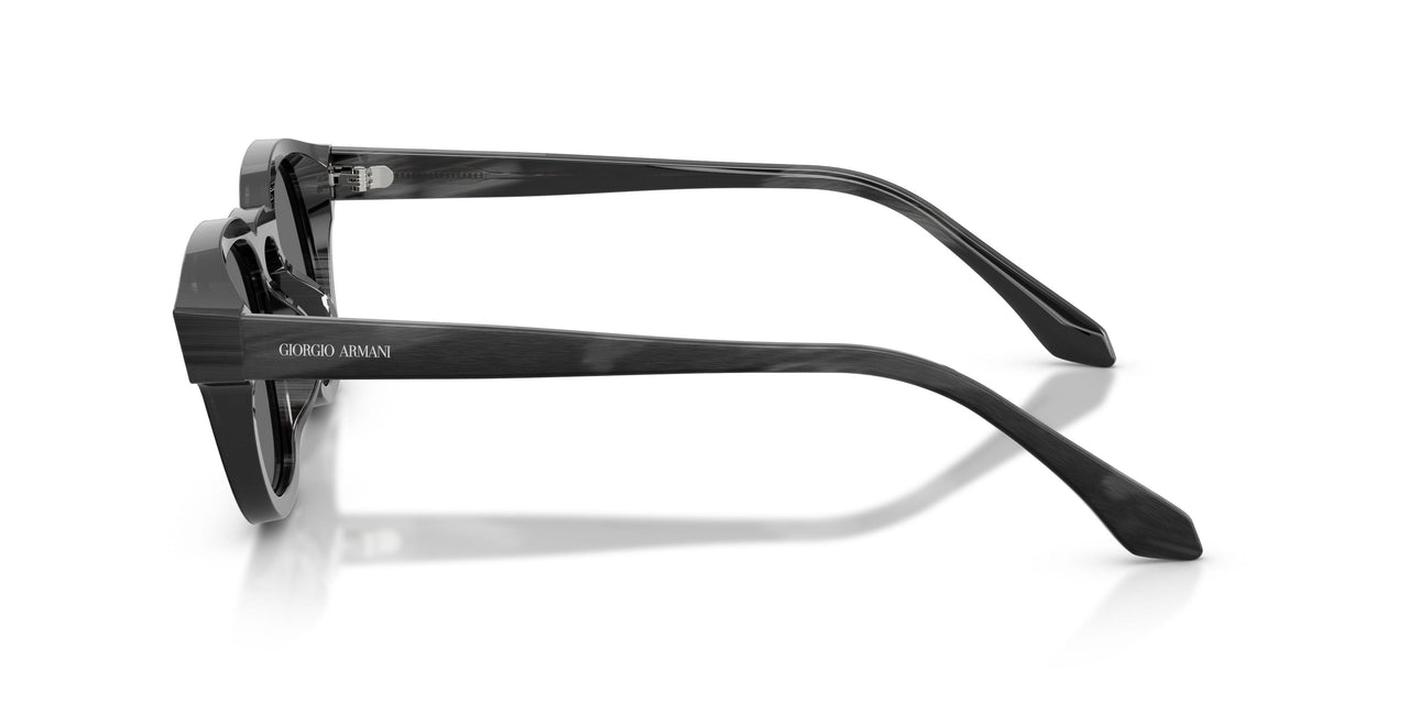 639387 - Tortoise - Grey