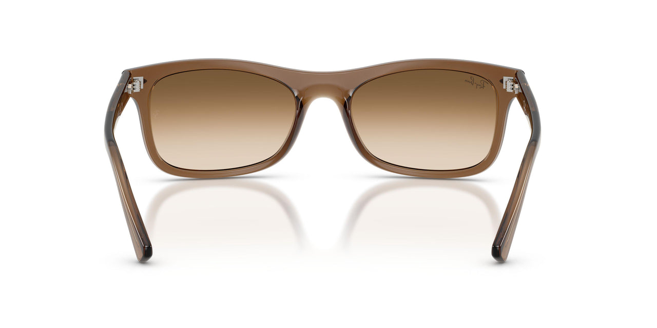 664051 - Brown - Clear Gradient Brown