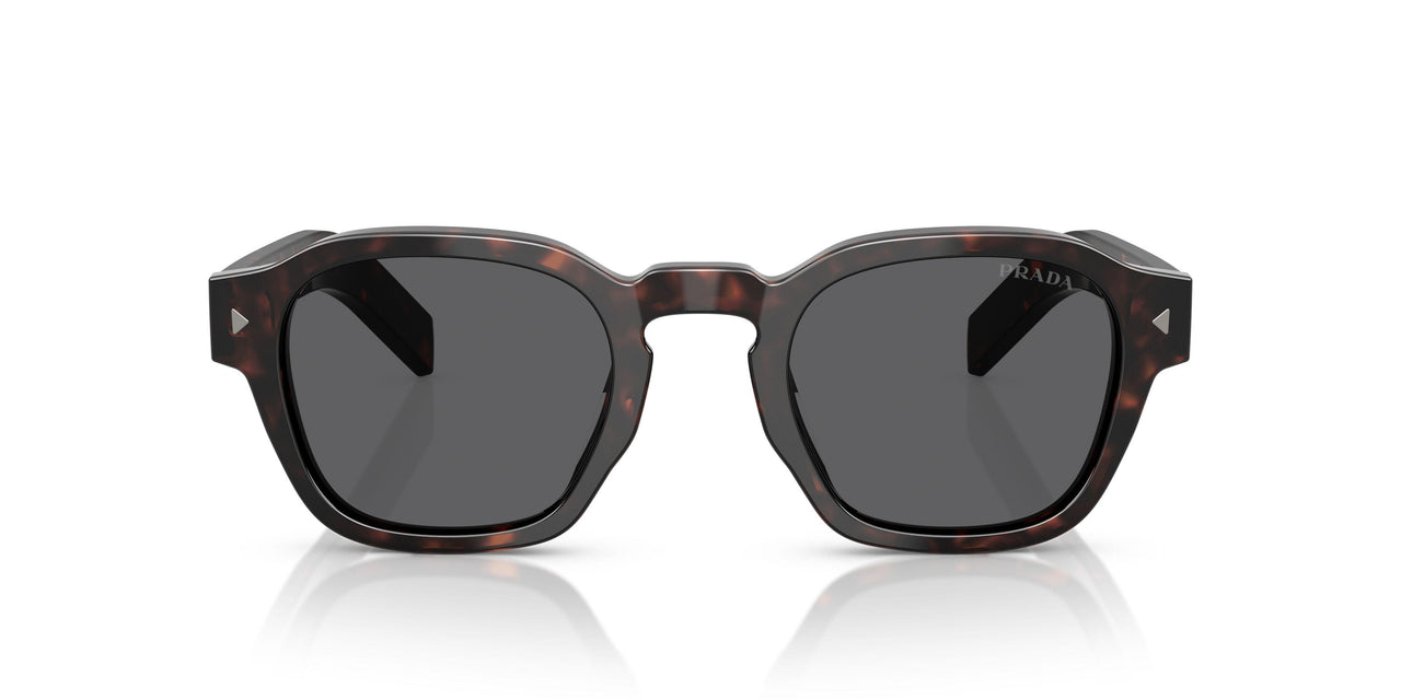 17N731 - Tortoise - Dark Grey