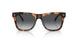 2819T3 - Havana - Gradient Dark Grey Polar