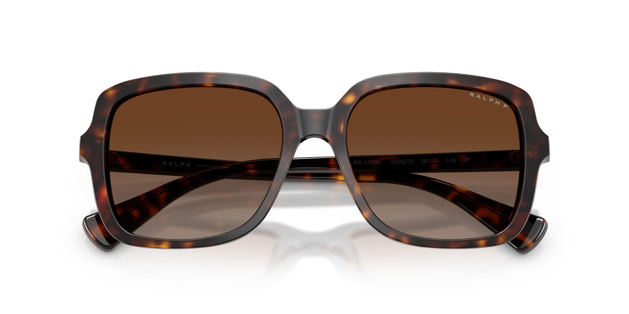 5003T5 - Tortoise - Polar Brown Gradient