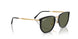 630658 - Black - Polar Green