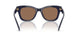 199373 - Blue - Solid Brown