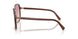 25G40S - Brown - Brown Gradient Violet