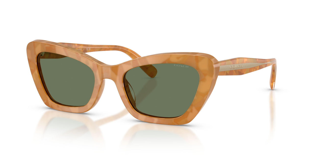 Coach Cdp52 8452U Sunglasses