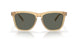 201404 - Yellow - Gray