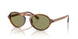616314 - Tortoise - Green