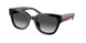 Coach Cl920 8379U Sunglasses