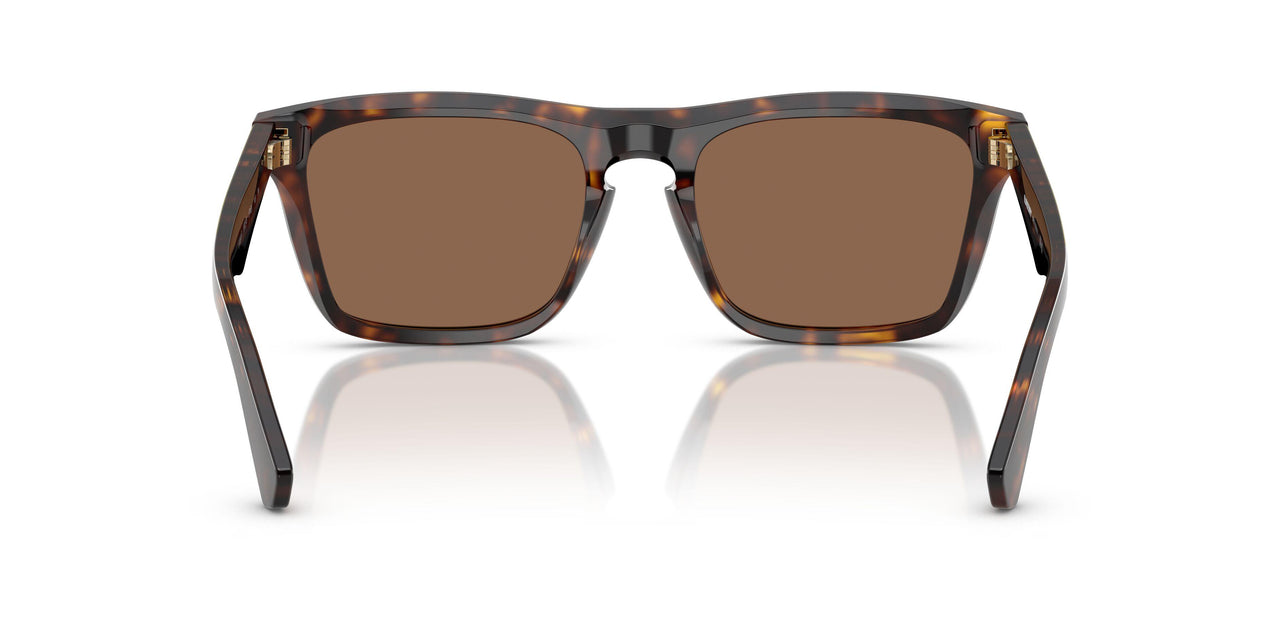 300273 - Brown - Dark Brown