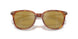 300475 - Tortoise - Mirror Olive