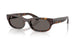 902/B1 - Tortoise - Dark Grey