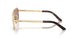 VAF10D - Gold - Light Brown