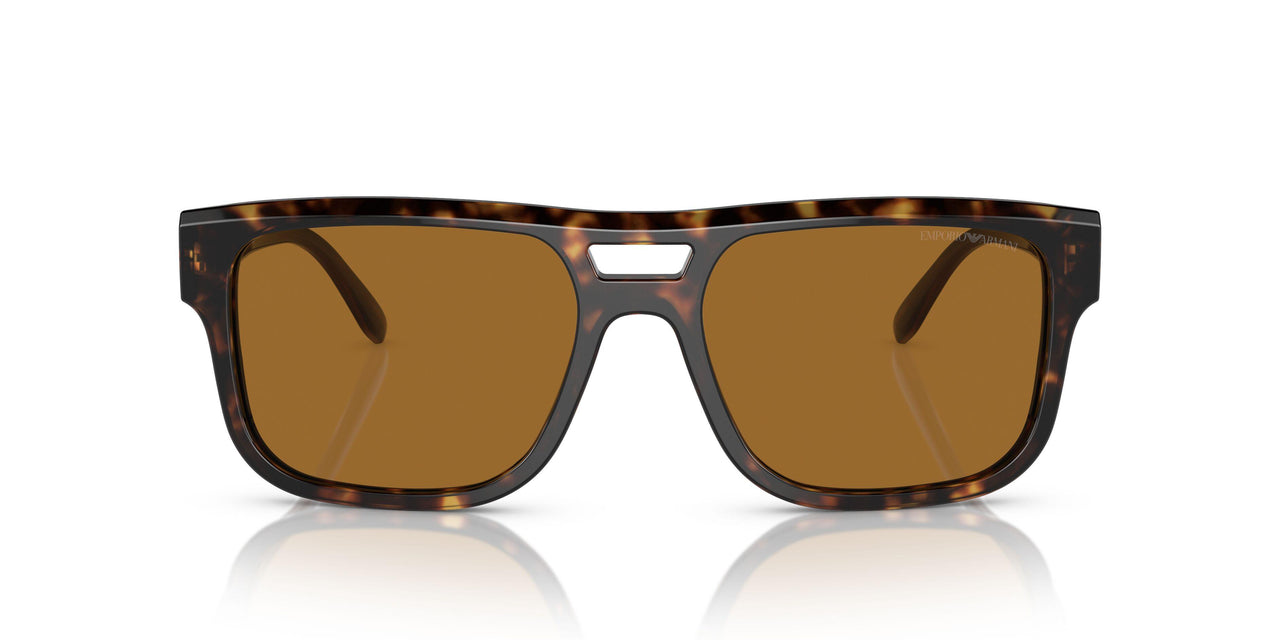 587983 - Tortoise - Brown Polarized