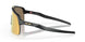946313 - Grey - Prizm 24k