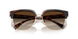 300613 - Tortoise - Smoke Gradient