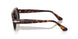 24/B1 - Tortoise - Dark Grey