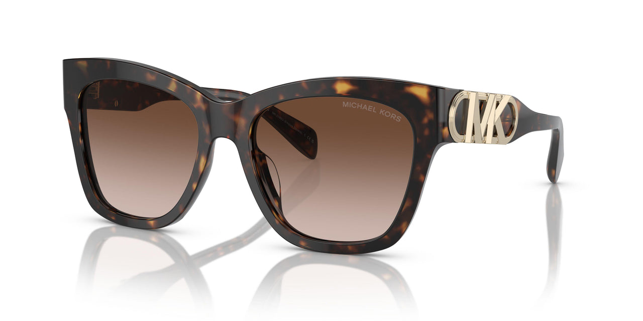 300613 - Tortoise - Brown Gradient
