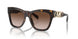 300613 - Tortoise - Brown Gradient