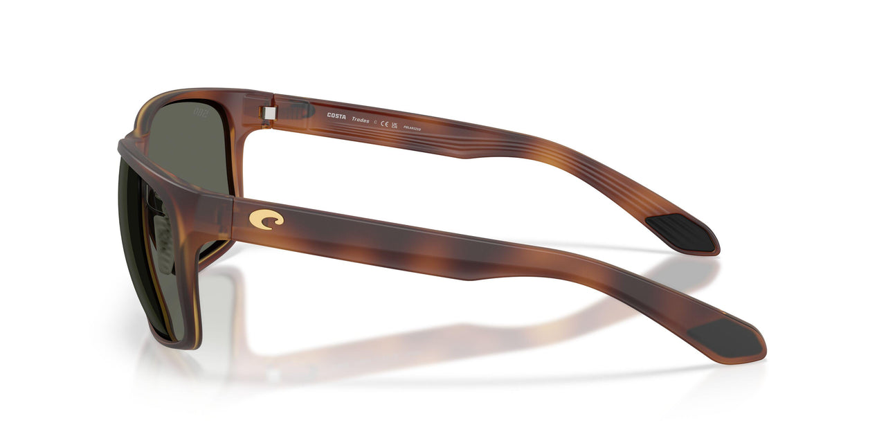 912805 - Tortoise - Gray