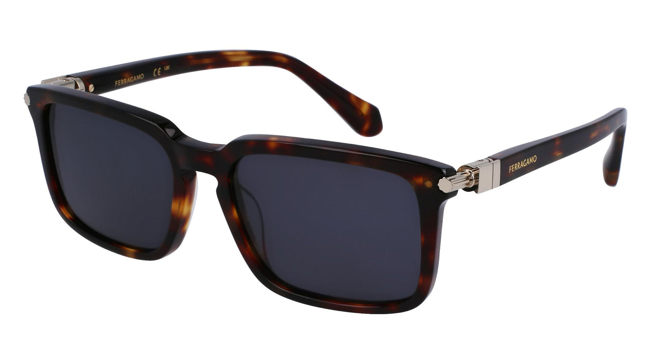 Salvatore Ferragamo SF1110S Sunglasses