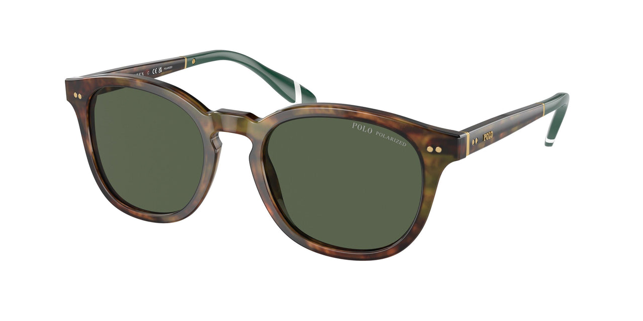 Polo 4206 Sunglasses