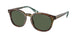 Polo 4206 Sunglasses