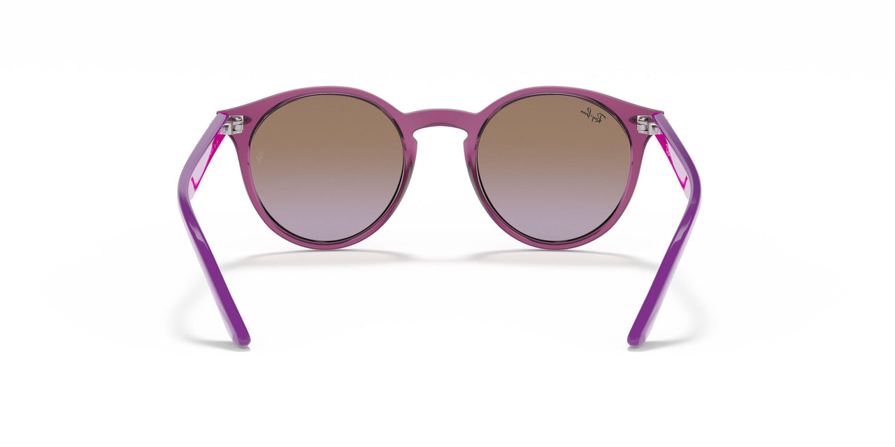 706468 - Transparent Fuxia - Violet Gradient Brown