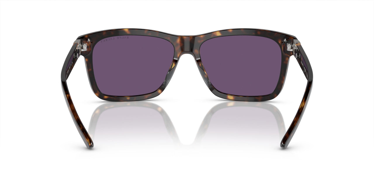50031A - Tortoise - Purple