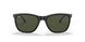 601/31 - Black - Green