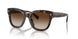 500313 - Brown - Gradient Brown