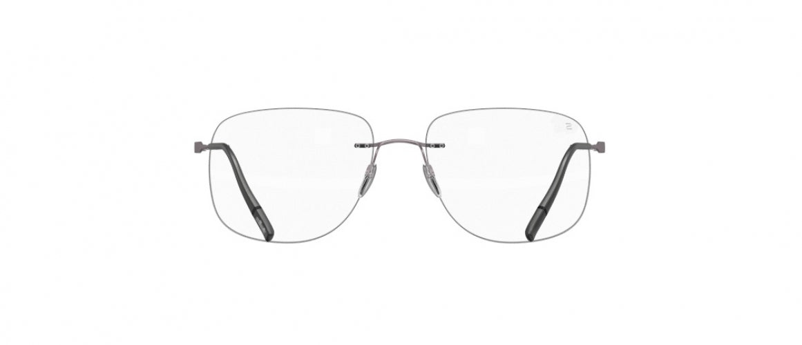 6560 - Plain Ruthenium